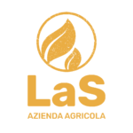 Logo Giallo Verticale La Sallentina