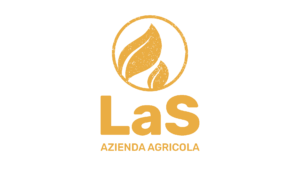 Logo Giallo Verticale La Sallentina